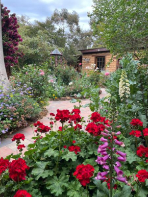 Patricias Garden Studio